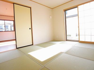 Other introspection. The photograph is a model house