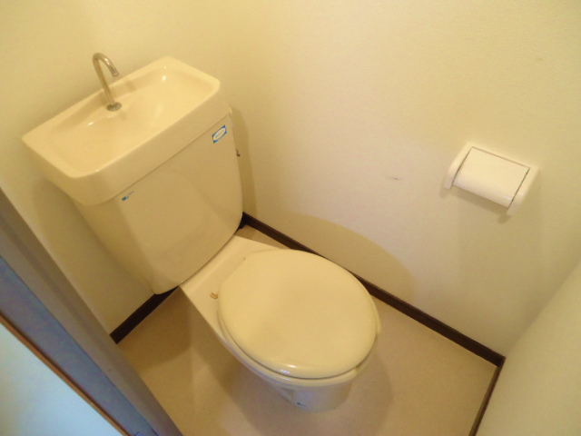 Other room space. It is a flush toilet