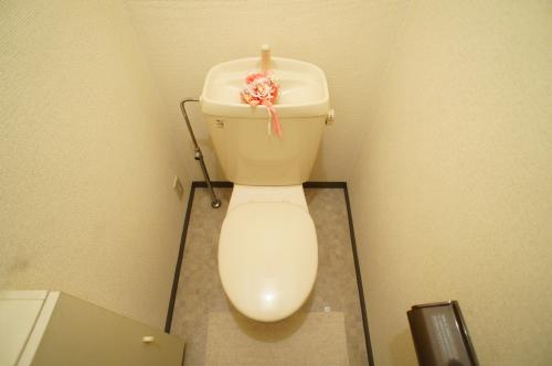 Toilet. Toilet storage Yes!