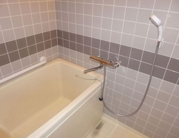 Bath. Spacious bathroom