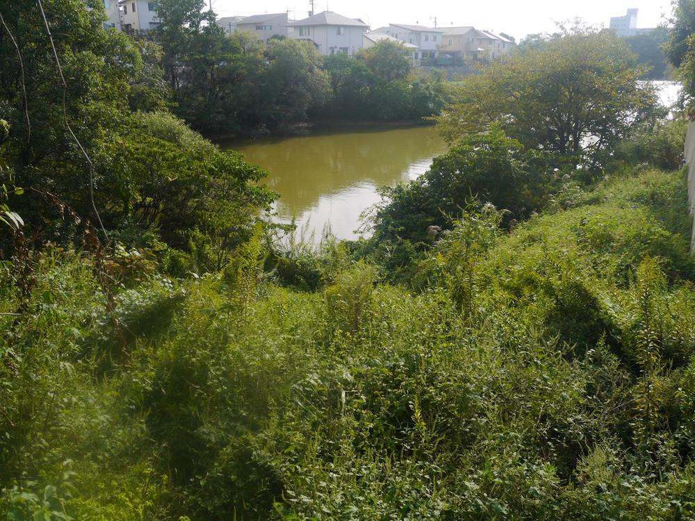 View photos from the dwelling unit. Local (10 May 2013) Shooting