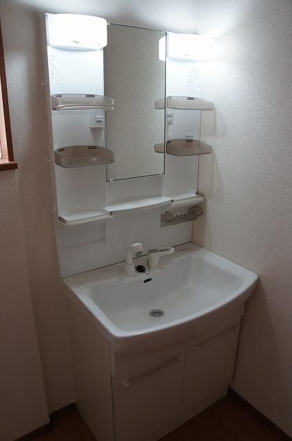 Wash basin, toilet. Vanity shower