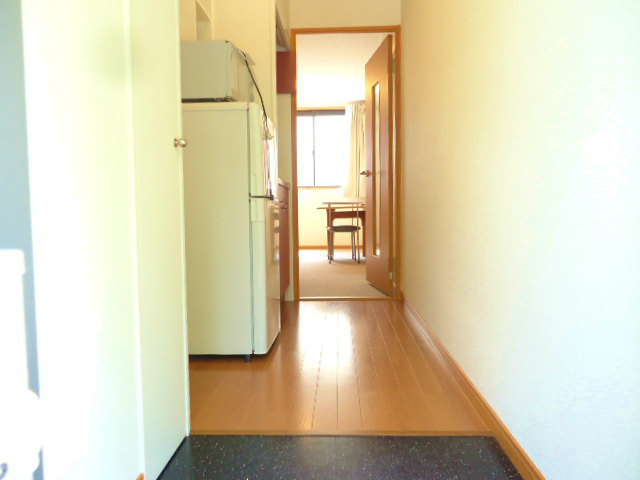 Entrance. There is a corridor