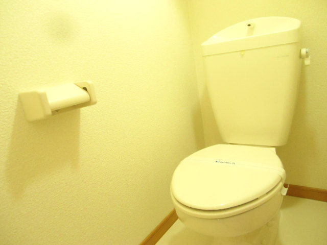 Other room space. It is a flush toilet
