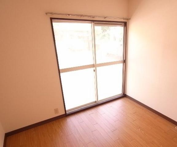 Living and room. Bright living