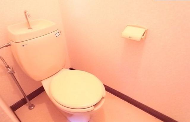 Other room space. Toilet with cleanliness