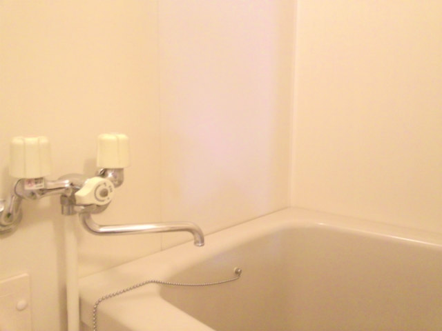 Bath. Clean bathroom