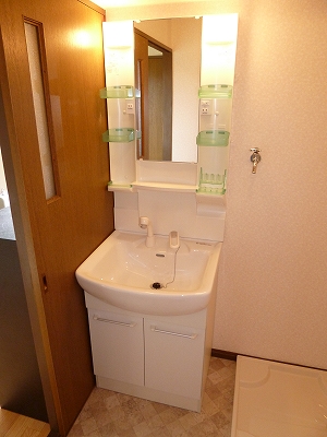 Washroom. Shampoo dresser