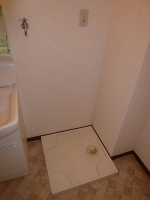 Washroom. Washing machine in the room