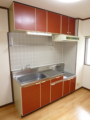 Kitchen. Spacious kitchen