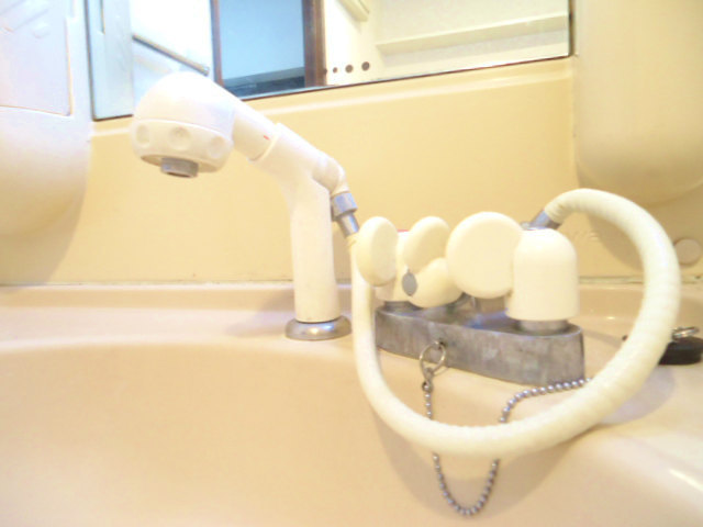 Other room space. Shampoo is Dresser