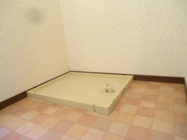 Other room space. Indoor Laundry Storage