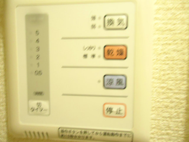 Other room space. Bathroom is equipped with a dry