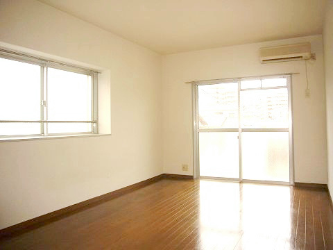 Living and room. Bright and broad Western-style. 