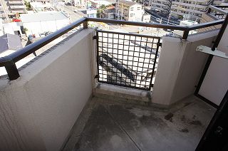 Balcony. View is good. 