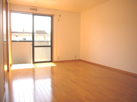 Kitchen. Day is good.