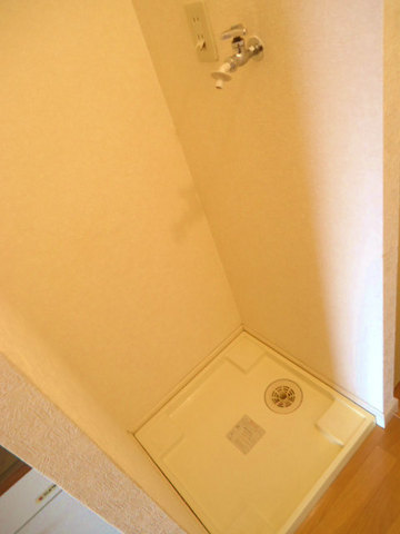 Other room space. Laundry Area