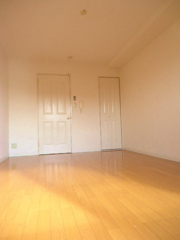 Living and room. Living