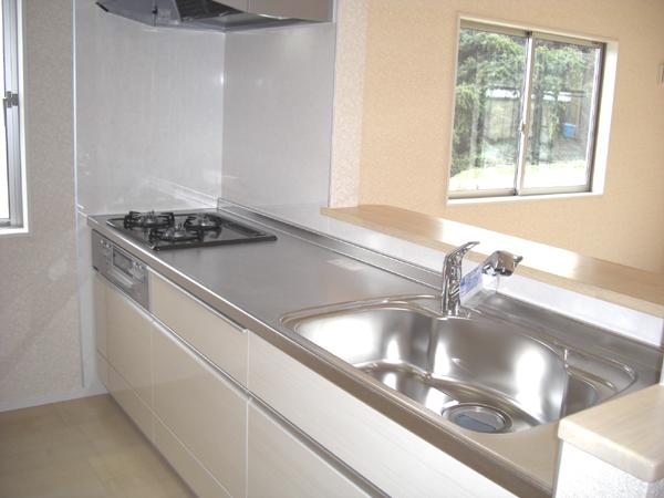 Kitchen. Indoor (11 May 2013) Shooting