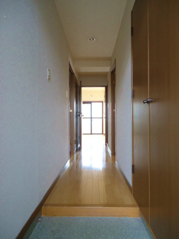 Entrance. There is a corridor