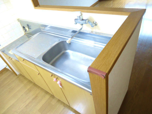 Kitchen. Gas stove bringing in is possible