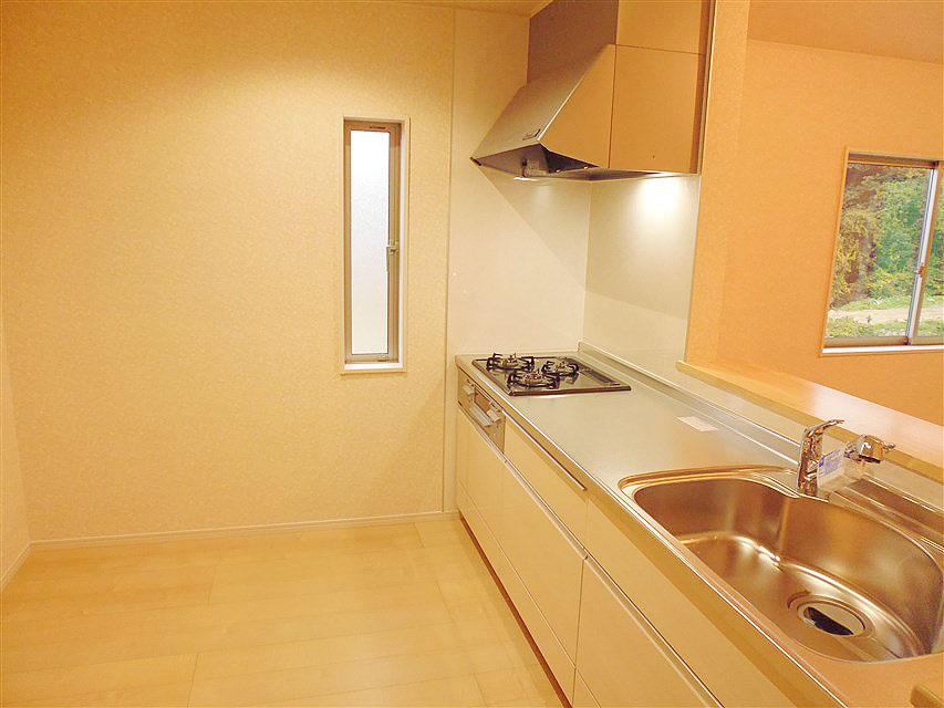 Kitchen. System kitchen