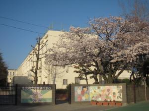 Primary school. Shime stand tighten up Nishi Elementary School 827m