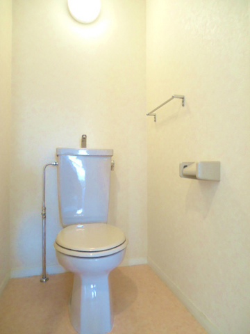 Other room space. It is a flush toilet