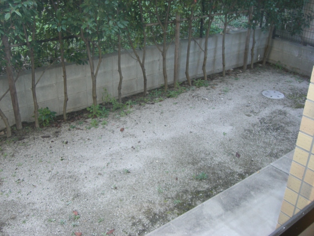 Garden. Private garden