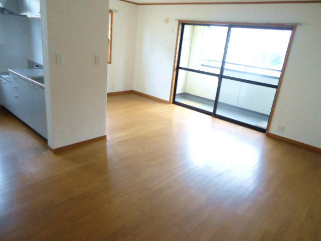 Living and room. Spacious is living