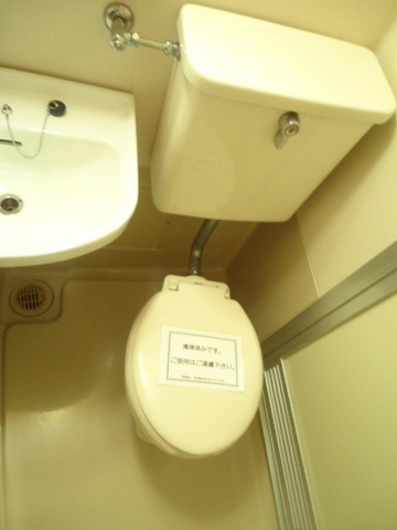 Other room space. It is a flush toilet