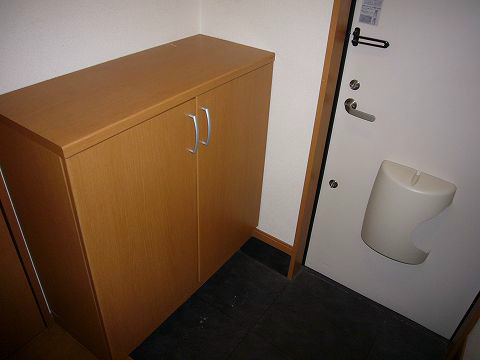 Entrance. With a shoe box. 