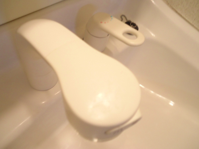 Other room space. Shampoo is Dresser