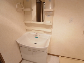 Washroom. Vanity bowl is large