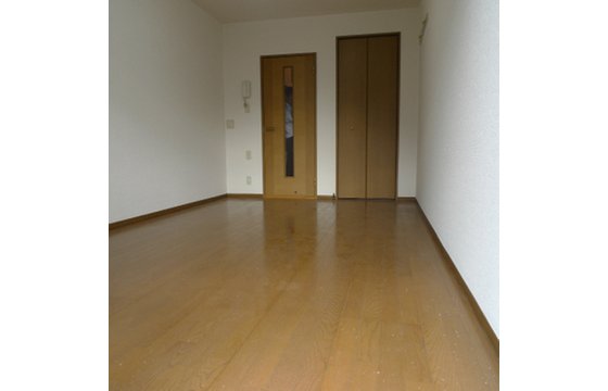 Living and room. Living