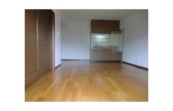 Living and room. Living