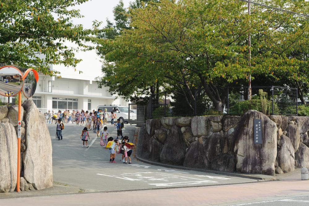 Primary school. Shingu Municipal Shingu 480m to East Elementary School