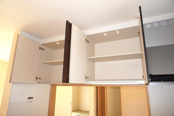 Same specifications photos (Other introspection)