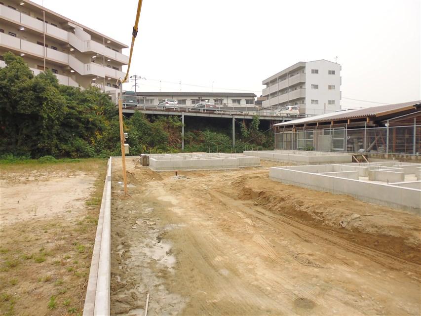 Local appearance photo. Local photo (2013 November 2, 2008)