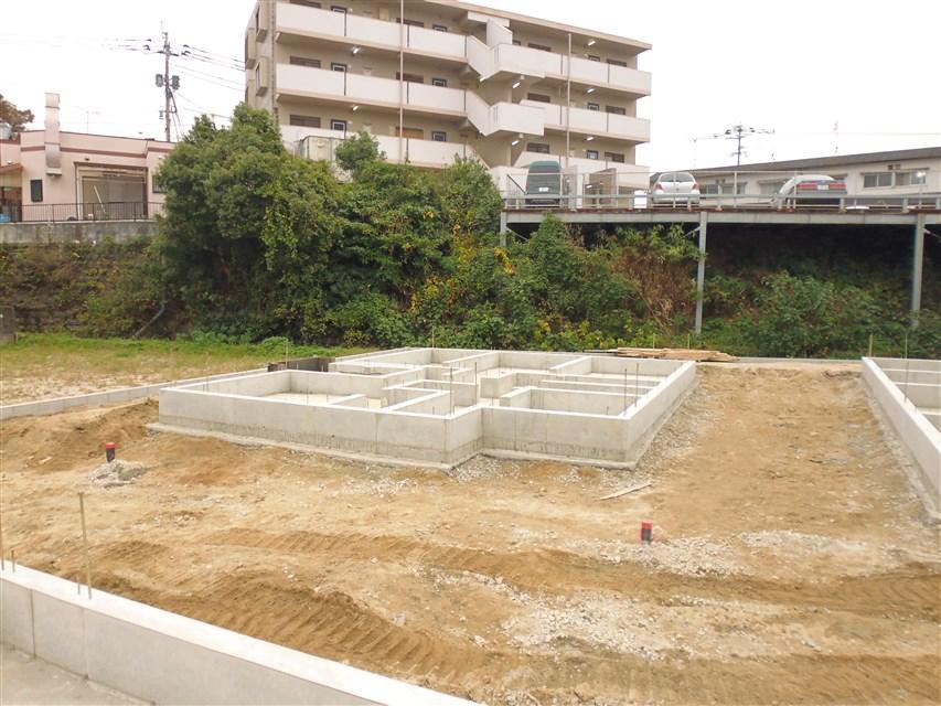 Local appearance photo. Local photo (2013 November 2, 2008)