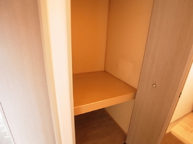 Other. It comes with a storage in the hallway