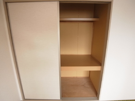 Other. Storage capacity is a closet