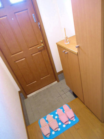 Other room space. Plenty of entrance storage