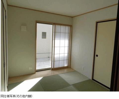 Other. The photograph is the same type