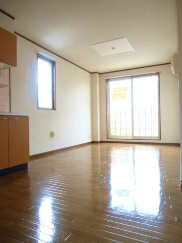 Living and room. Large living