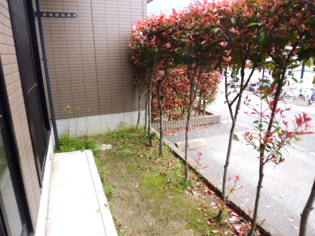 Garden. Private garden