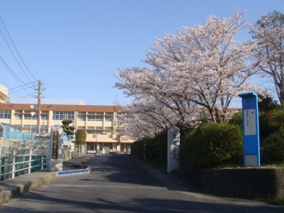 Primary school. Sue first 2 900m up to elementary school (elementary school)