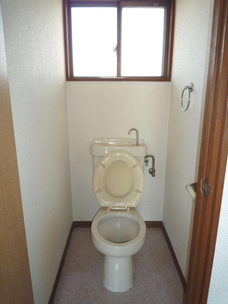 Toilet. Washing Western Toilet! There is also a window! 