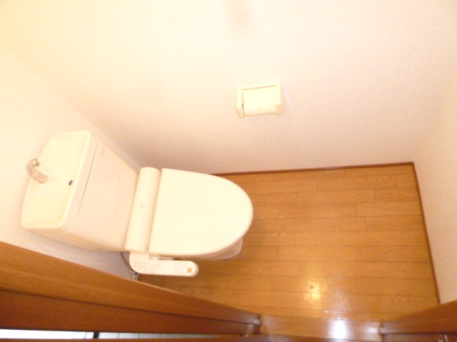 Toilet. Multi-function type bidet