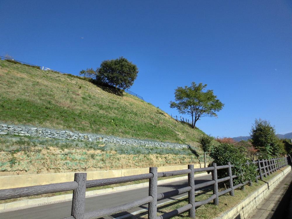 Other local. Local (11 May 2012) shooting